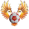 FENIX DO NORTE FC